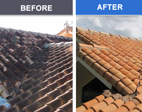 That's not a new roof in the after photo. Our roof washing services will rejuvenate and restore your roof. Learn More >